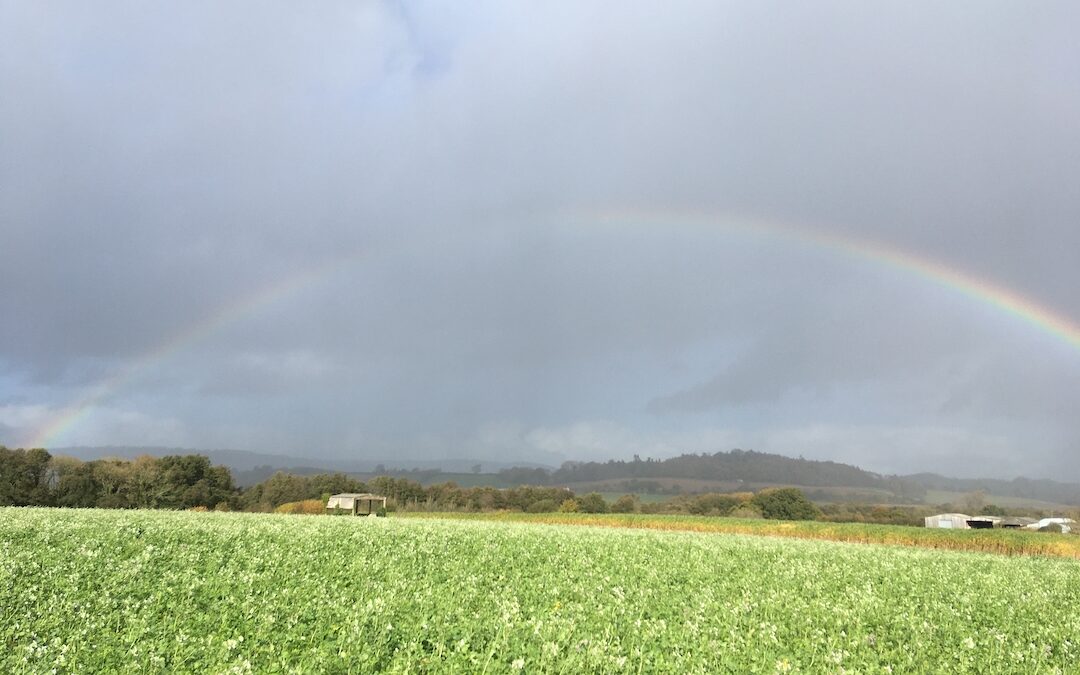 Rainbow near Milverton