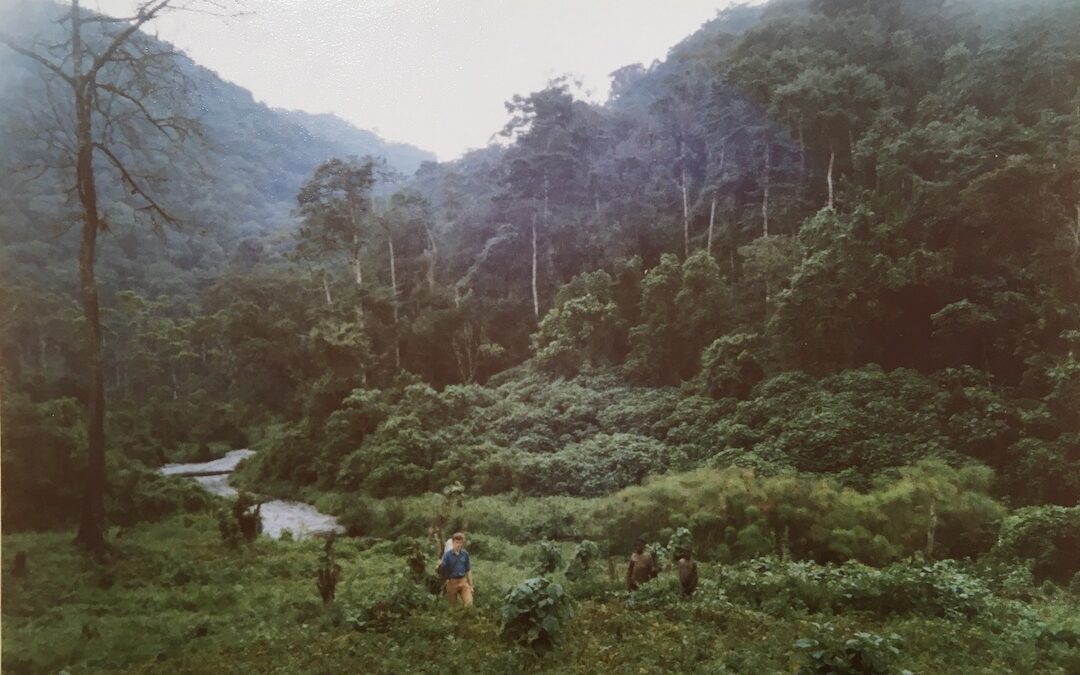 by the Impenetrable forest, SW Uganda